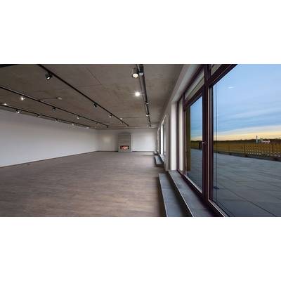 An empty room with wooden flooring, large windows and a fireplace on the wall. The exterior view reveals a terrace and a vast sky.