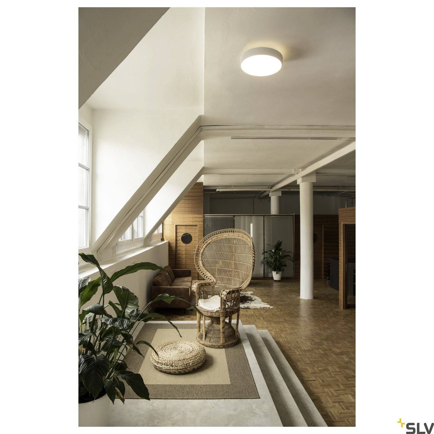 Living room with a high ceiling. Wicker chair next to potted plants on the carpet. Stairs lead upwards. Soft light from the ceiling lamp.