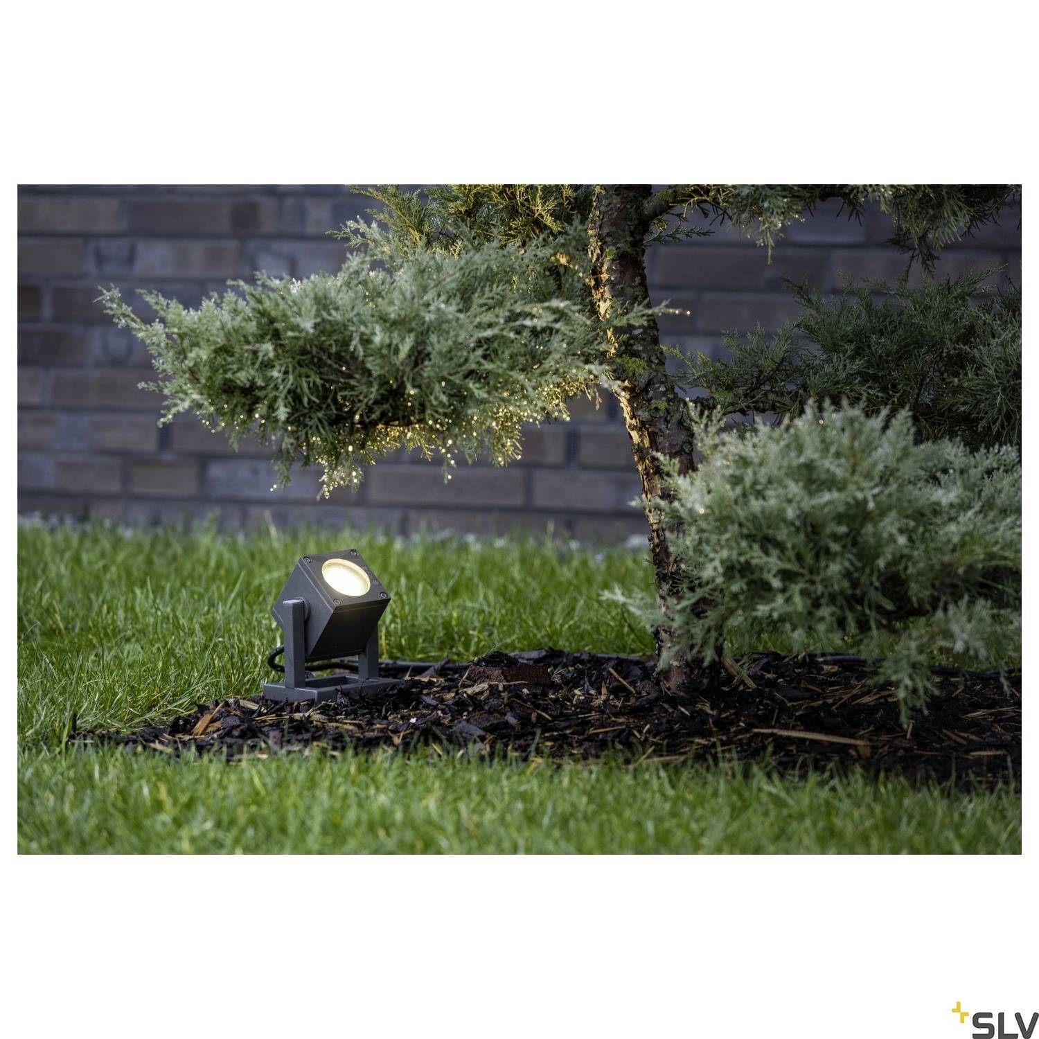 A spotlight illuminates a tree in a garden, surrounded by green lawn, with a brick wall in the background.
