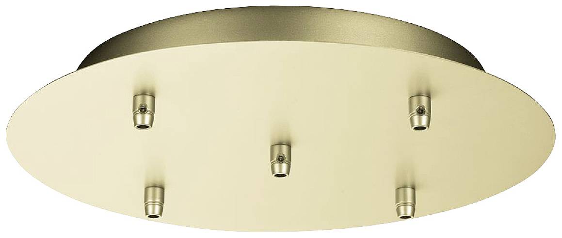 SLV FITU 1002165 Ceiling rose Gold