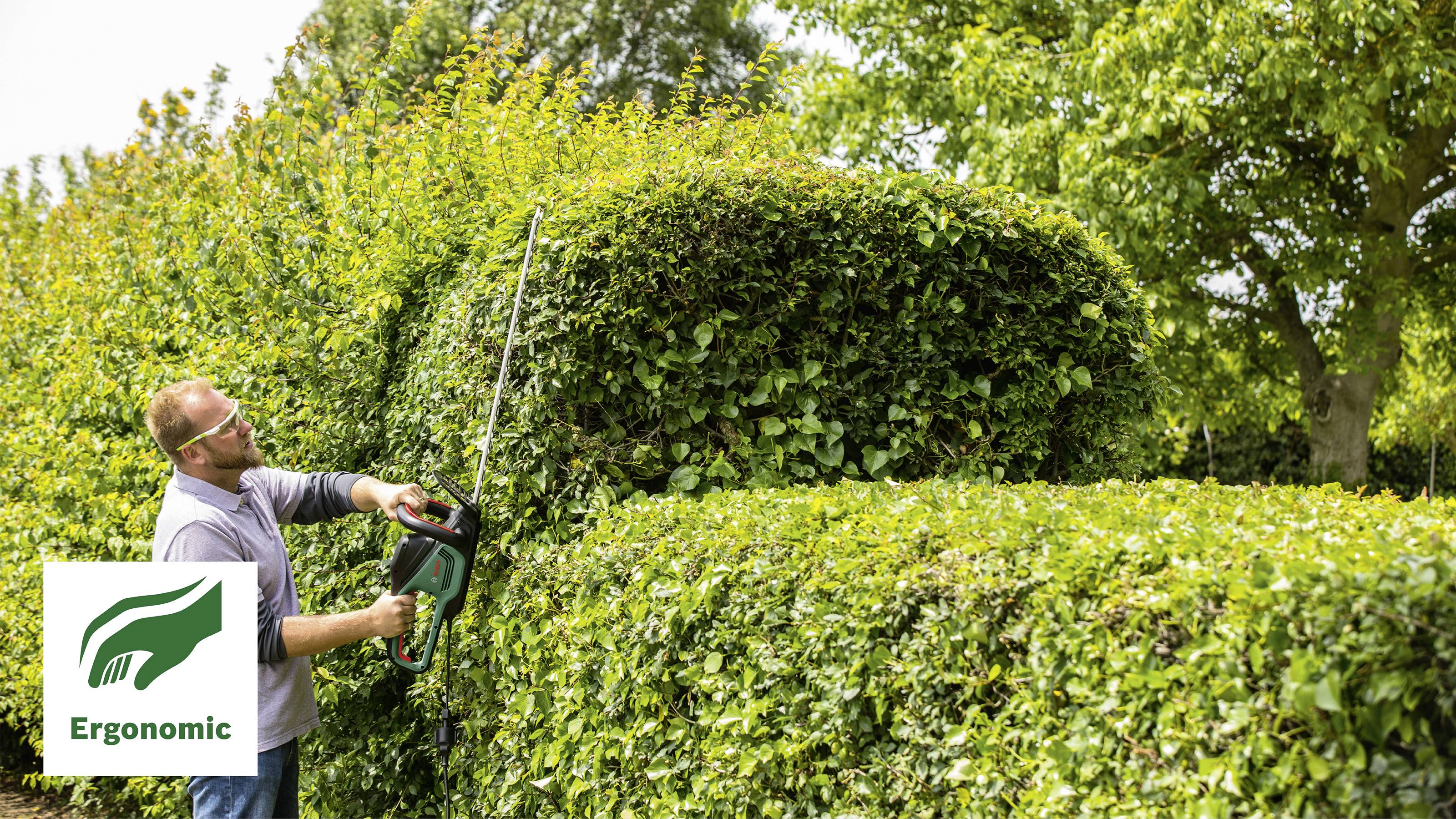 A person is trimming hedges in a garden using an electric hedge trimmer. The image features an 'Ergonomic' label.