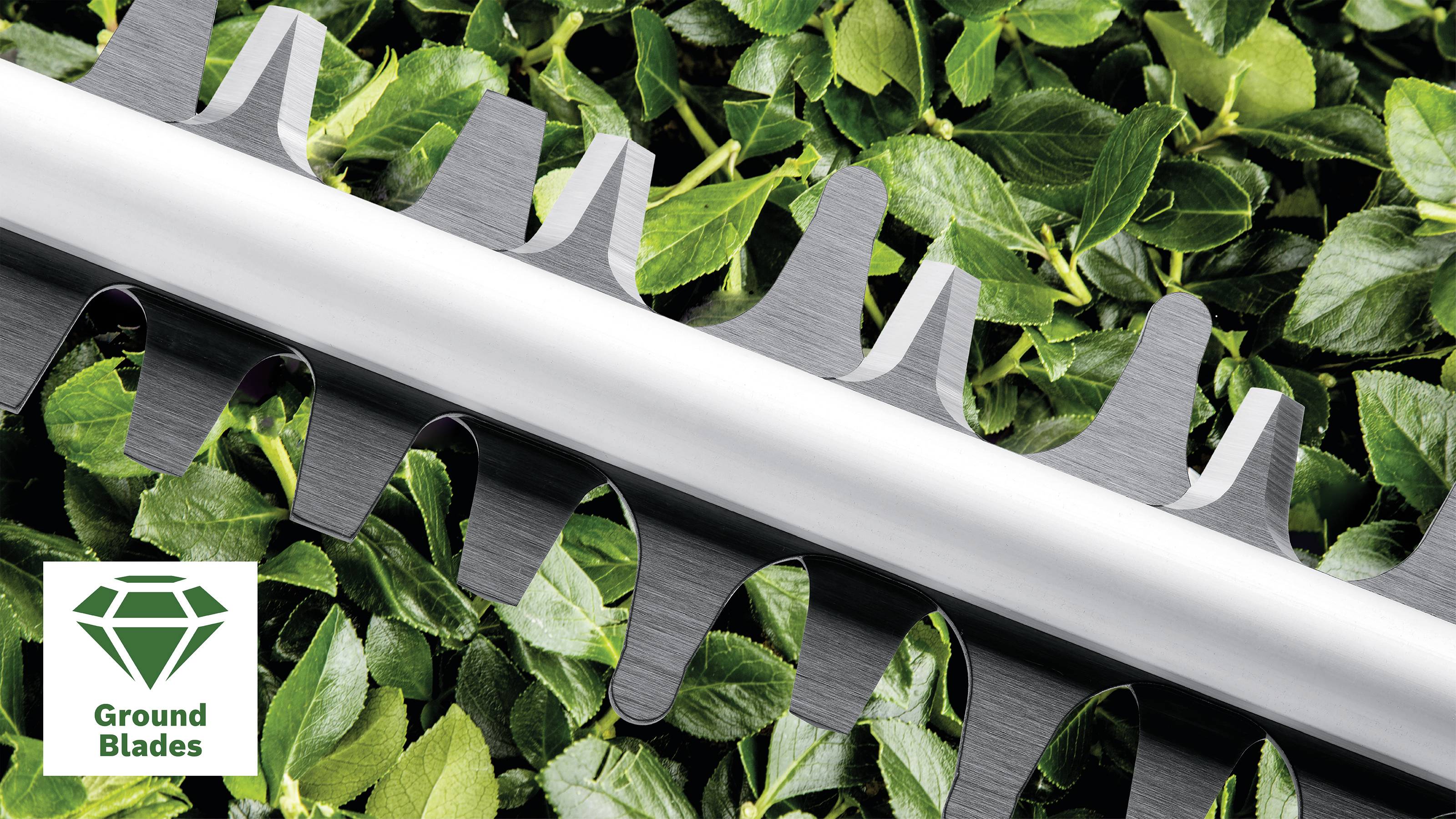Hedge trimmer with sharp blades cuts through dense green foliage. A logo with the inscription 'Ground Blades' is positioned in the bottom left.