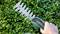 A person is cutting a green hedge with an electric hedge trimmer bearing a Bosch logo.