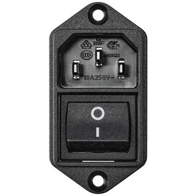 'A black on/off switch labelled 10A 250V on a rectangular housing. Three metal contacts are visible on the top.'