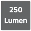 '250 Lumens' in black text on a grey background.