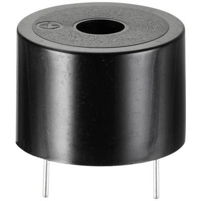 Black, cylindrical piezo buzzer with two metal pins for soldering, indicating connection direction with a plus sign on the top surface.