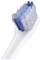 A toothbrush with blue and white bristles in close-up.