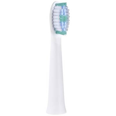 White toothbrush head with blue and green bristles, standing upright.