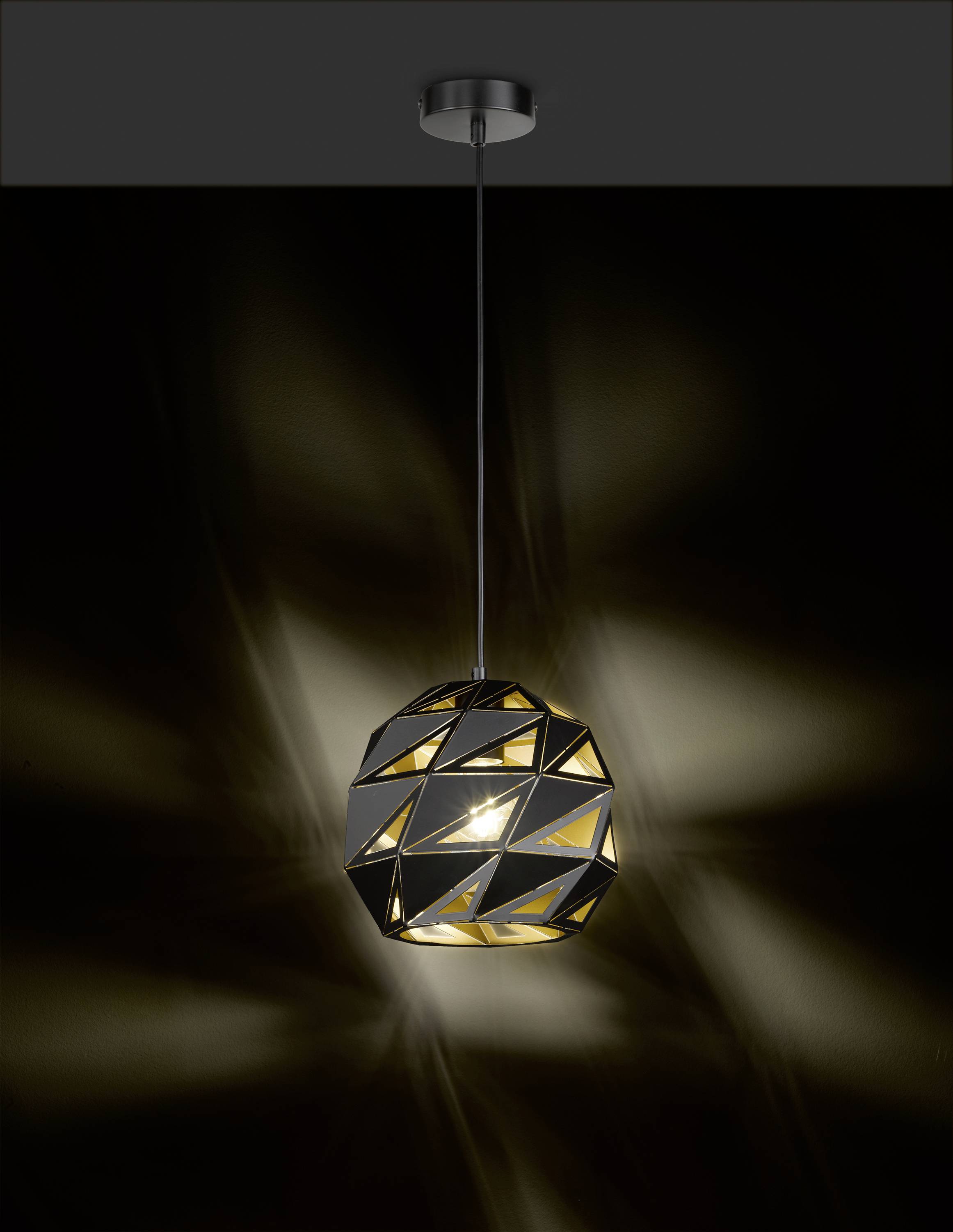 WOFI JUBA 11465 LED pendant light LED (monochrome) E-27 60 W Black-1