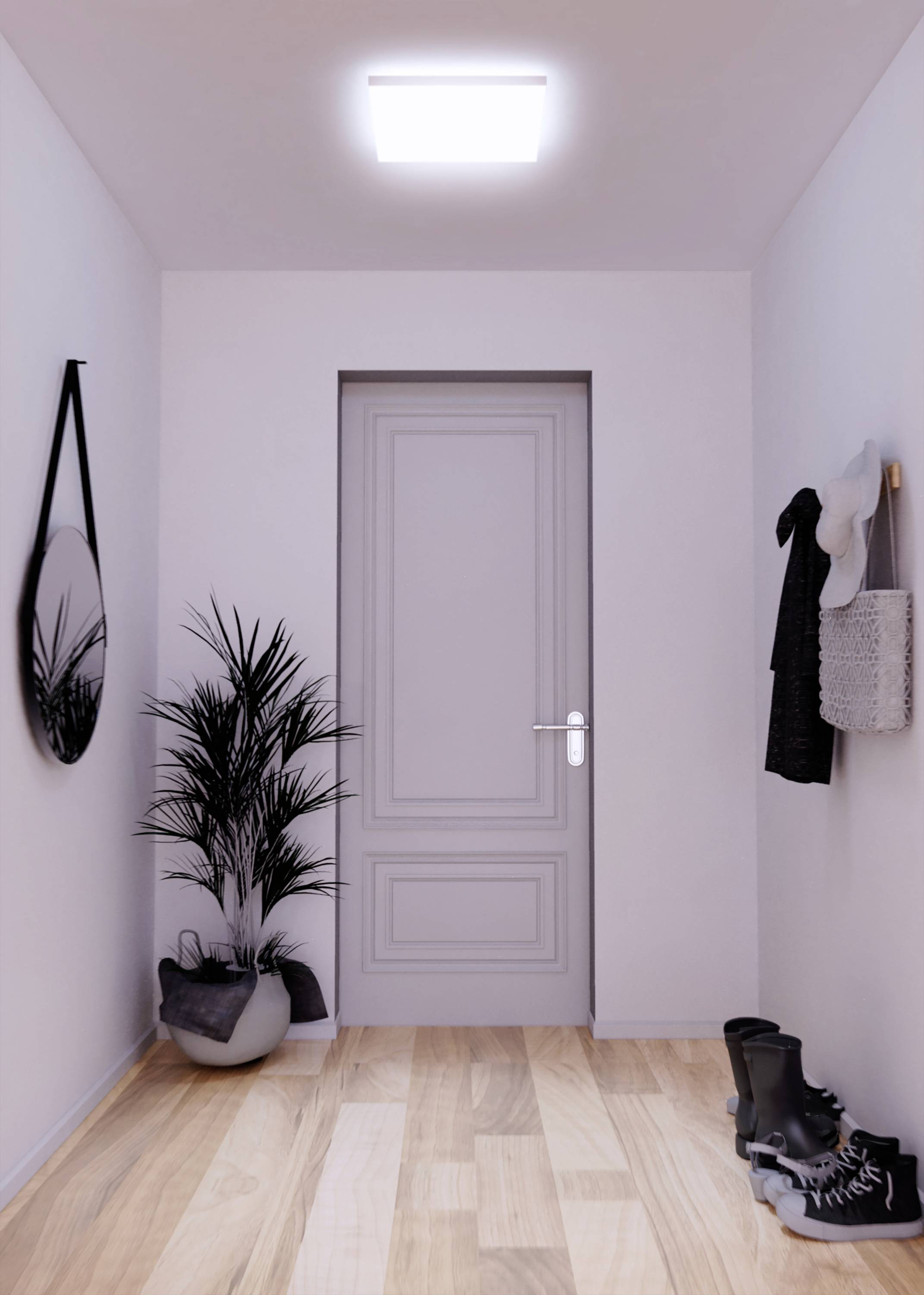 A narrow corridor with wooden flooring, a mirror and a plant on the left, a hook with a hat and bag on the right, view of a closed door.