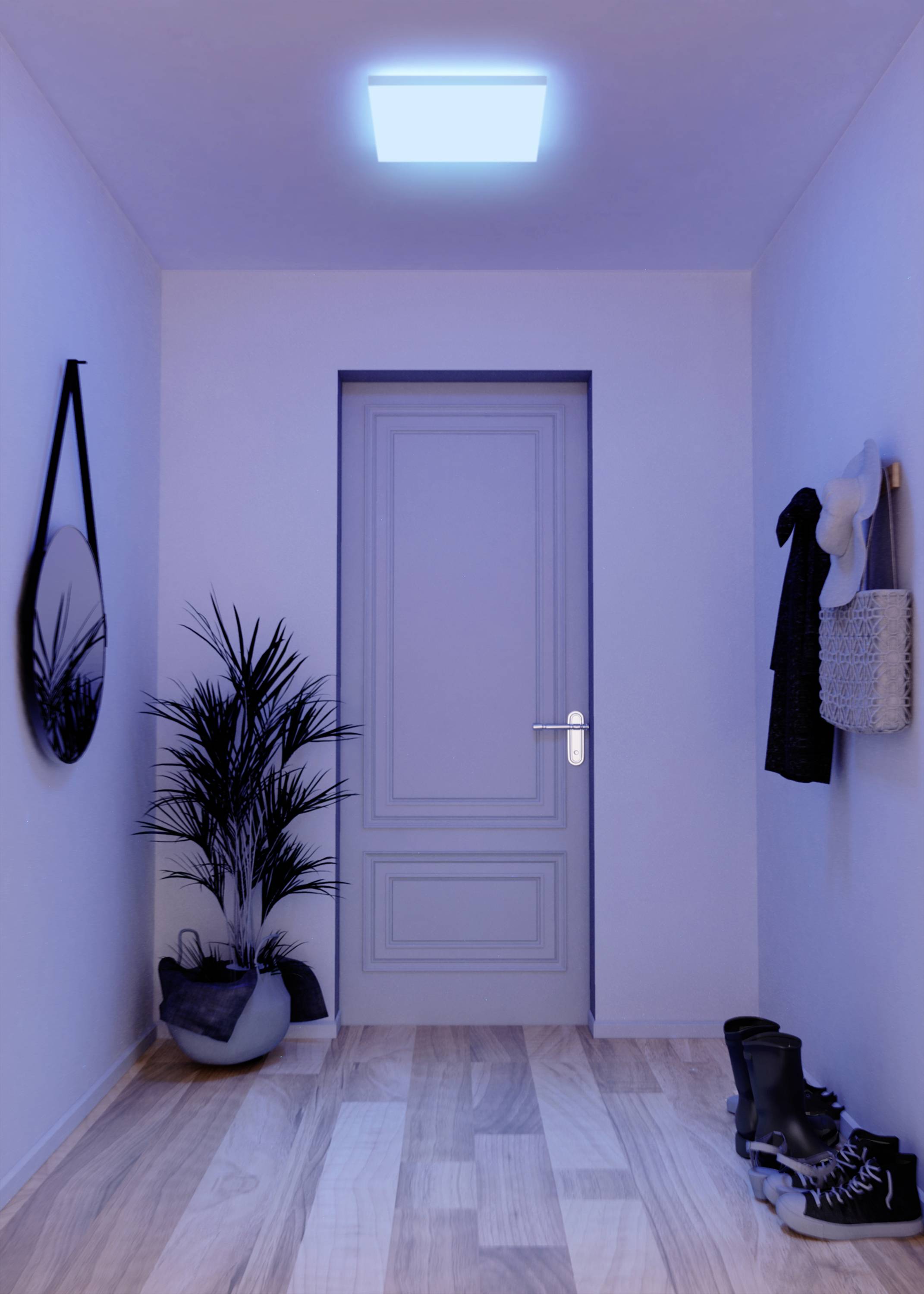 A narrow corridor with wooden flooring leads to a closed door. A mirror and clothing items hang on the walls. A pot with a plant stands on the floor.