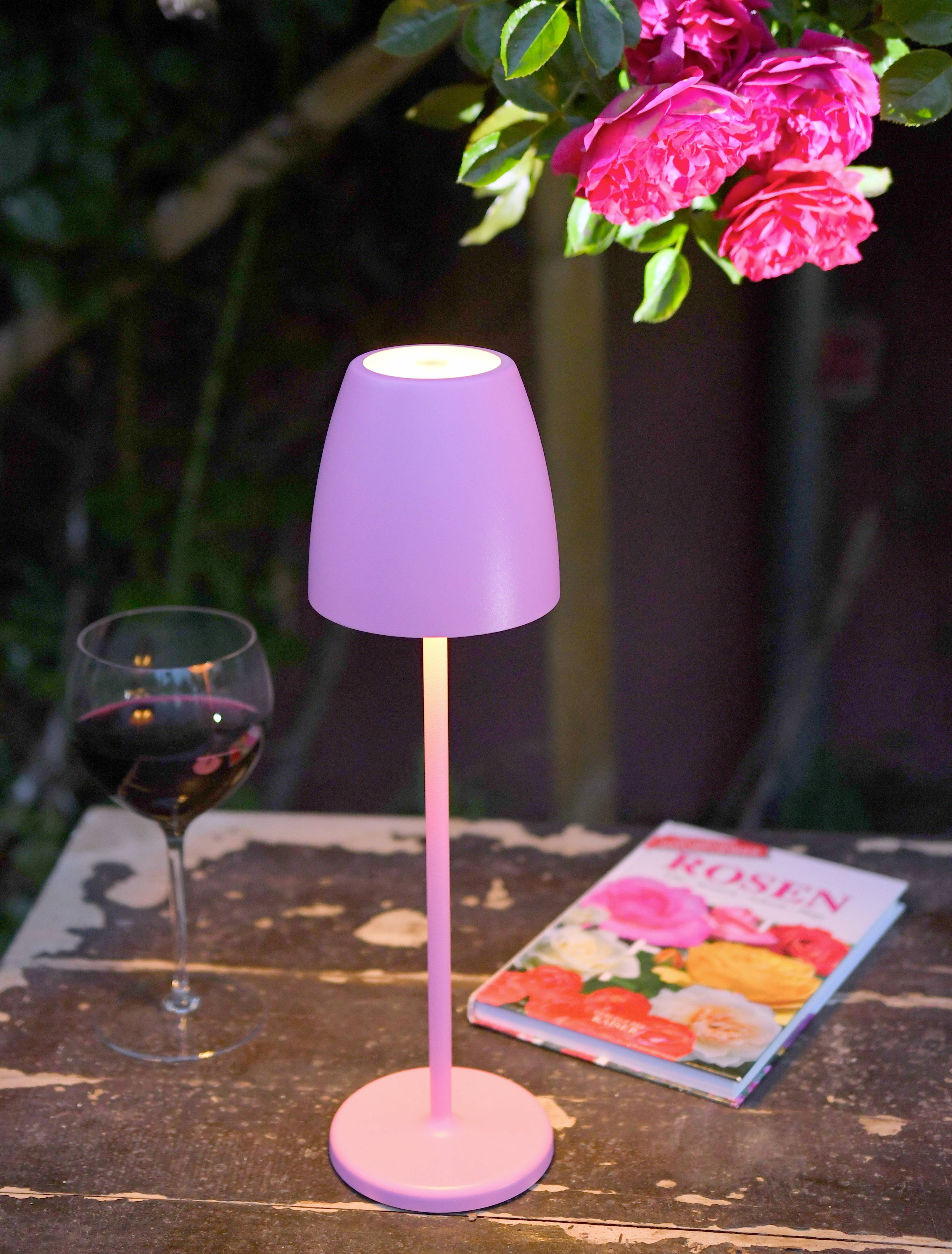 A purple table lamp illuminates on a wooden table beside a glass of red wine and a book about roses. Pink flowers hang down from above.