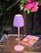 A purple table lamp illuminates on a wooden table beside a glass of red wine and a book about roses. Pink flowers hang down from above.