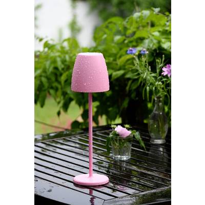 A pink lamp with water droplets sits on a wet wooden table outdoors. Green plants and flowers are visible in the background.