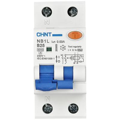 A two-pole residual current device (RCD) by the brand CHNT. Model NB1L, 25 Amperes, 30 mA rated fault current tripping level.