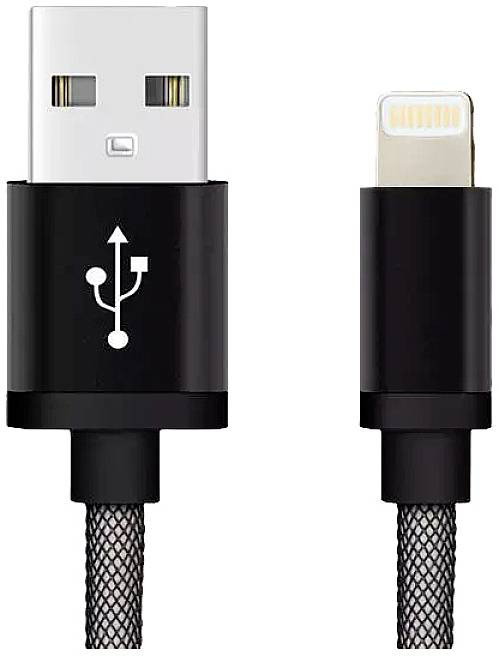 REEKIN Apple iPad/iPhone/iPod Cable [1x USB 2.0 connector A - 1x Apple Dock lightning plug] 1.00 m Black