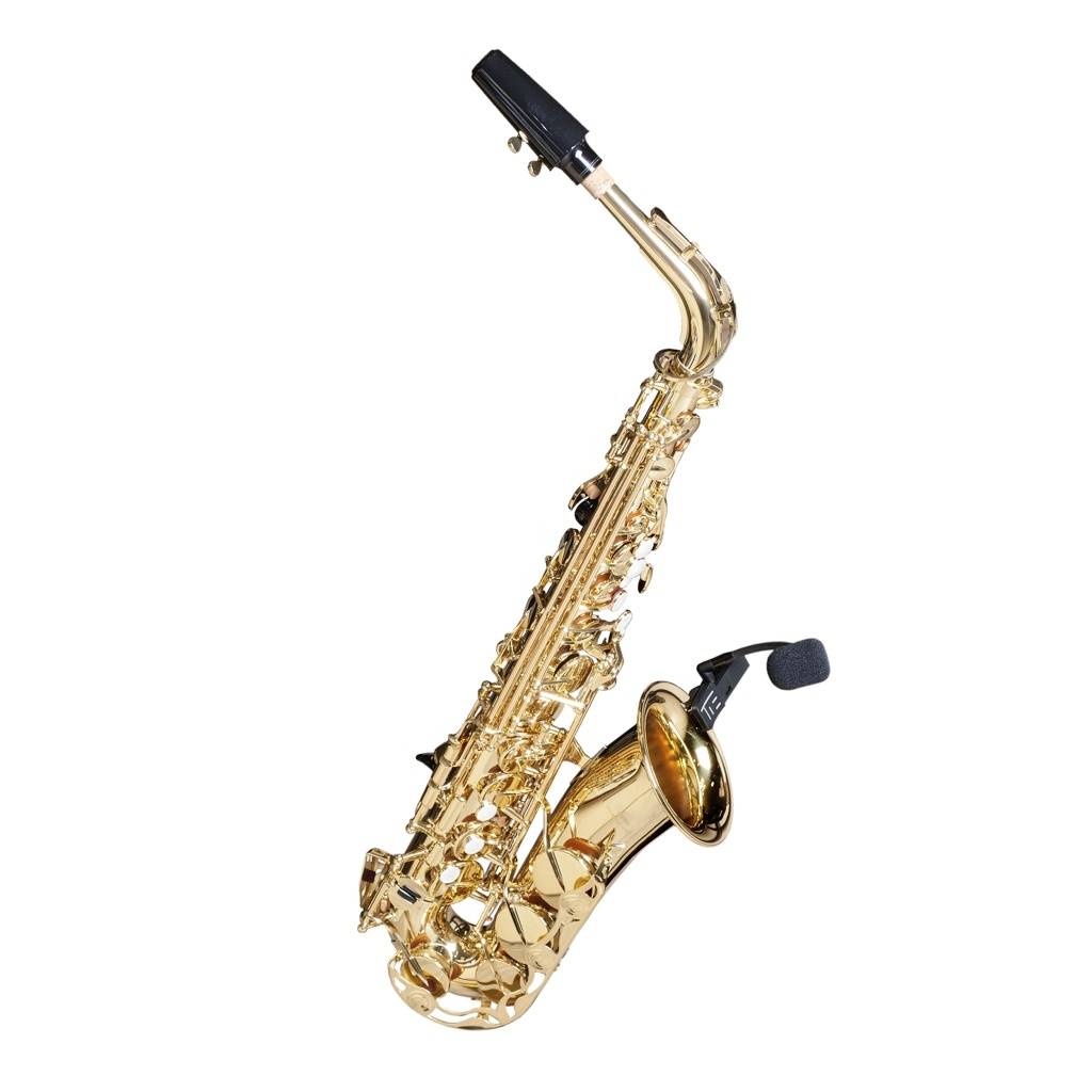 Tie Studio Microphone for Saxophone / Brass (TCX308) Gooseneck Microphone (instruments) Transfer type (details):Corded C-2