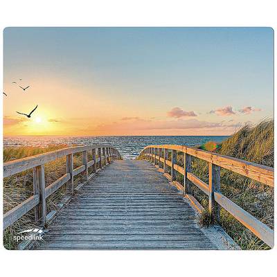 Wooden walkway leads to the beach, framed by sand dunes, at sunset. Birds fly across the sky, calm sea in the background.