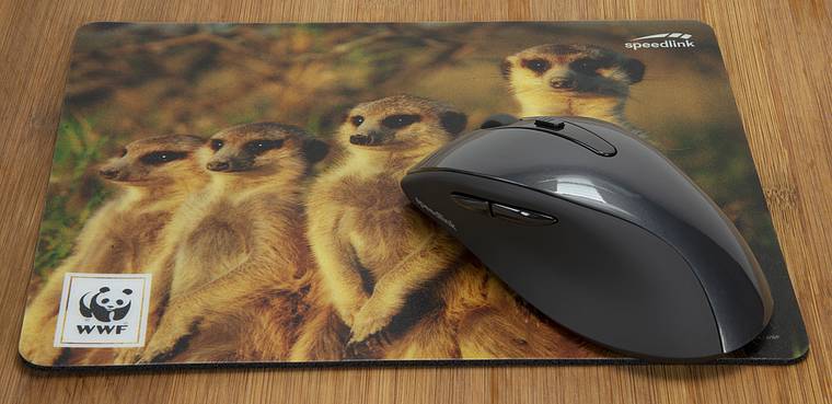SpeedLink TERRA WWF Mouse pad Multicolour (W x H x D) 230 x 190 x 3 mm-3