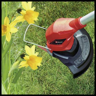 Red lawn trimmer cuts grass next to flowering yellow daffodils in the garden.