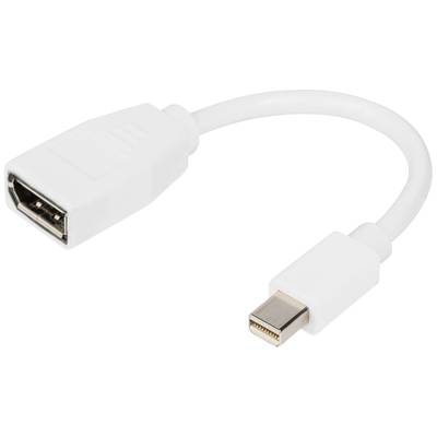 A white adapter with an HDMI socket on the left side and a Mini DisplayPort plug on the right side.
