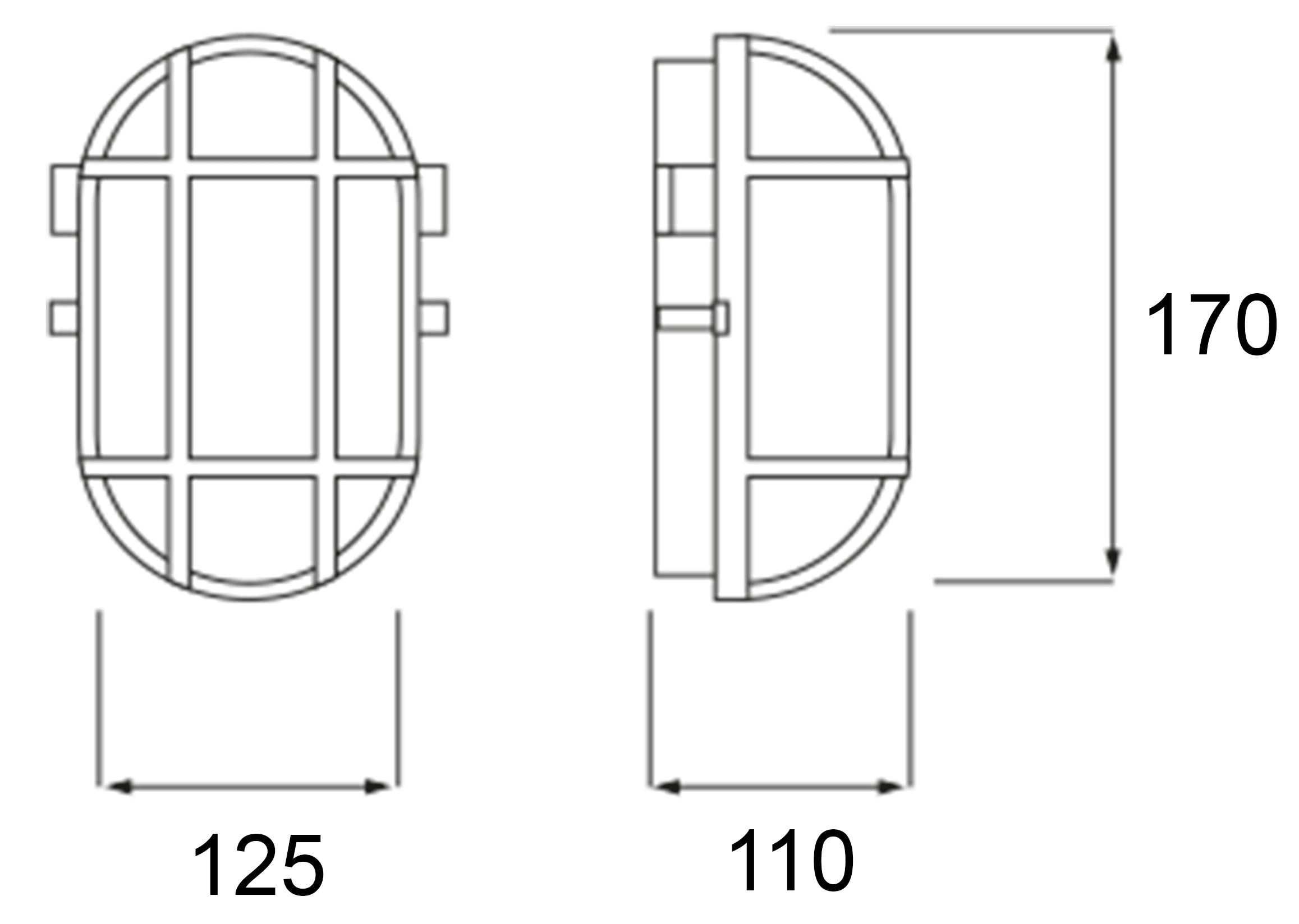 Technical drawing of an oval lamp with dimensions: Width 125 mm, Depth 110 mm, Height 170 mm. Front and side views.