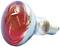 A red light bulb with a silver base, suitable for heating applications in terrariums or for animal observation.