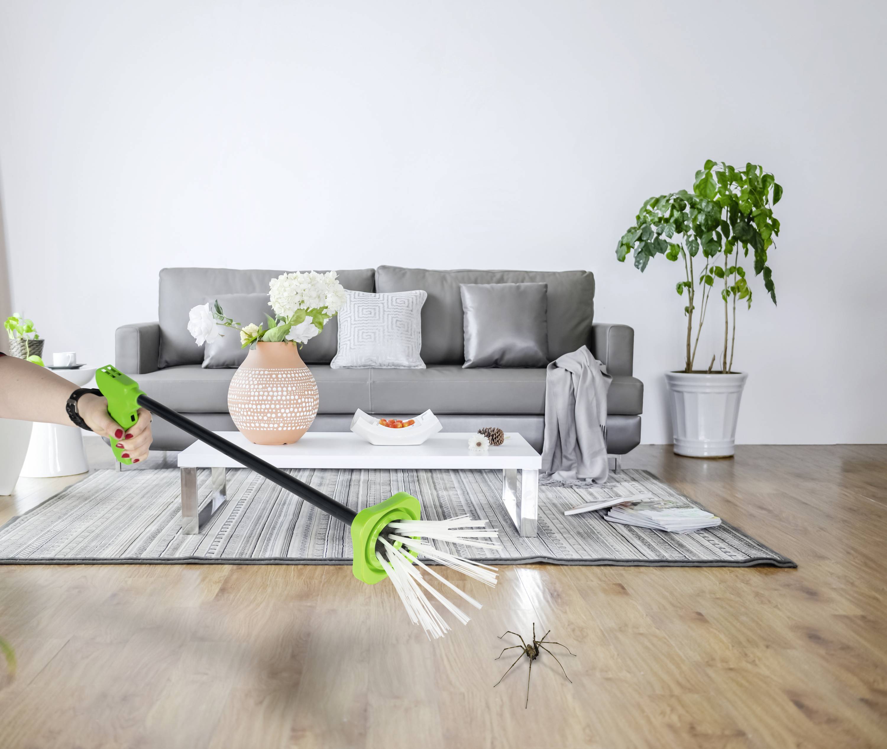 A person is using a green device to catch a spider on a wooden floor in a modernly furnished living room.