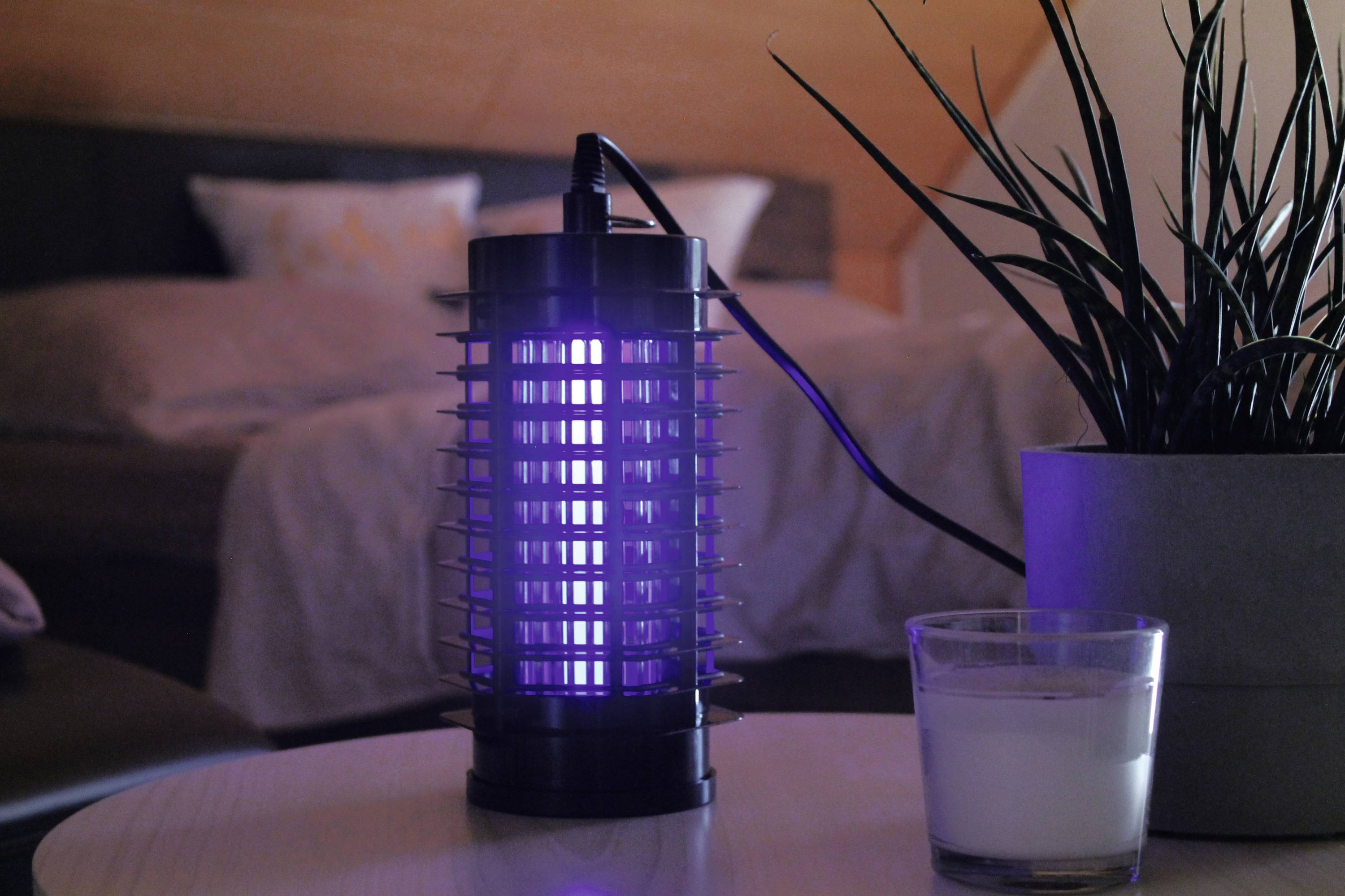 In a dimly lit room, an electric insect trap with violet light sits on a table next to a houseplant and a glass.