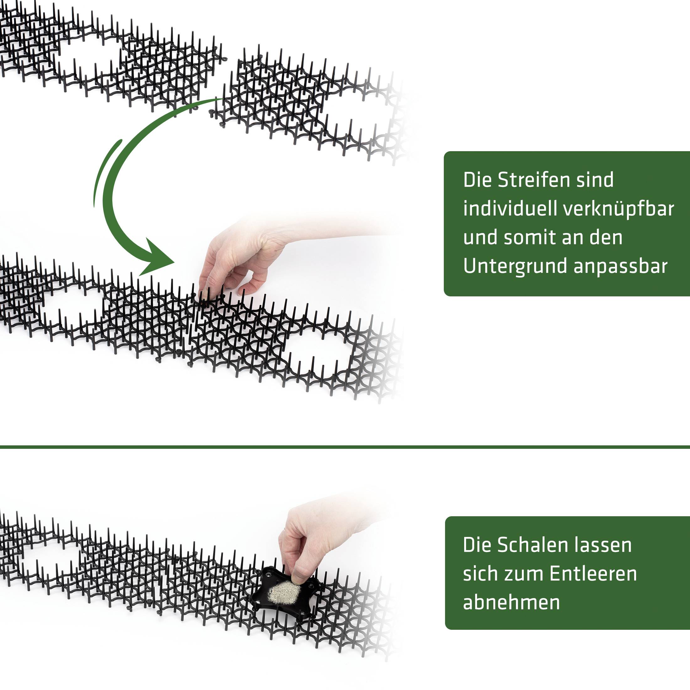 The figure shows how strips can be linked and adapted to the substrate. Another image demonstrates the removal of scales.