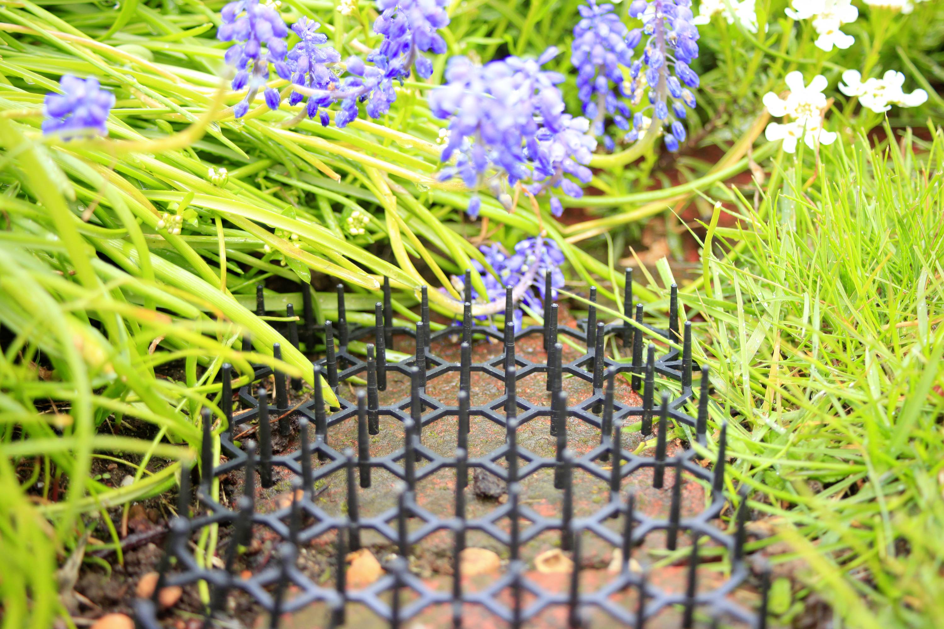 A drainage grid in a garden, surrounded by blooming flowers and green grass, ensures water drainage and prevents flooding.