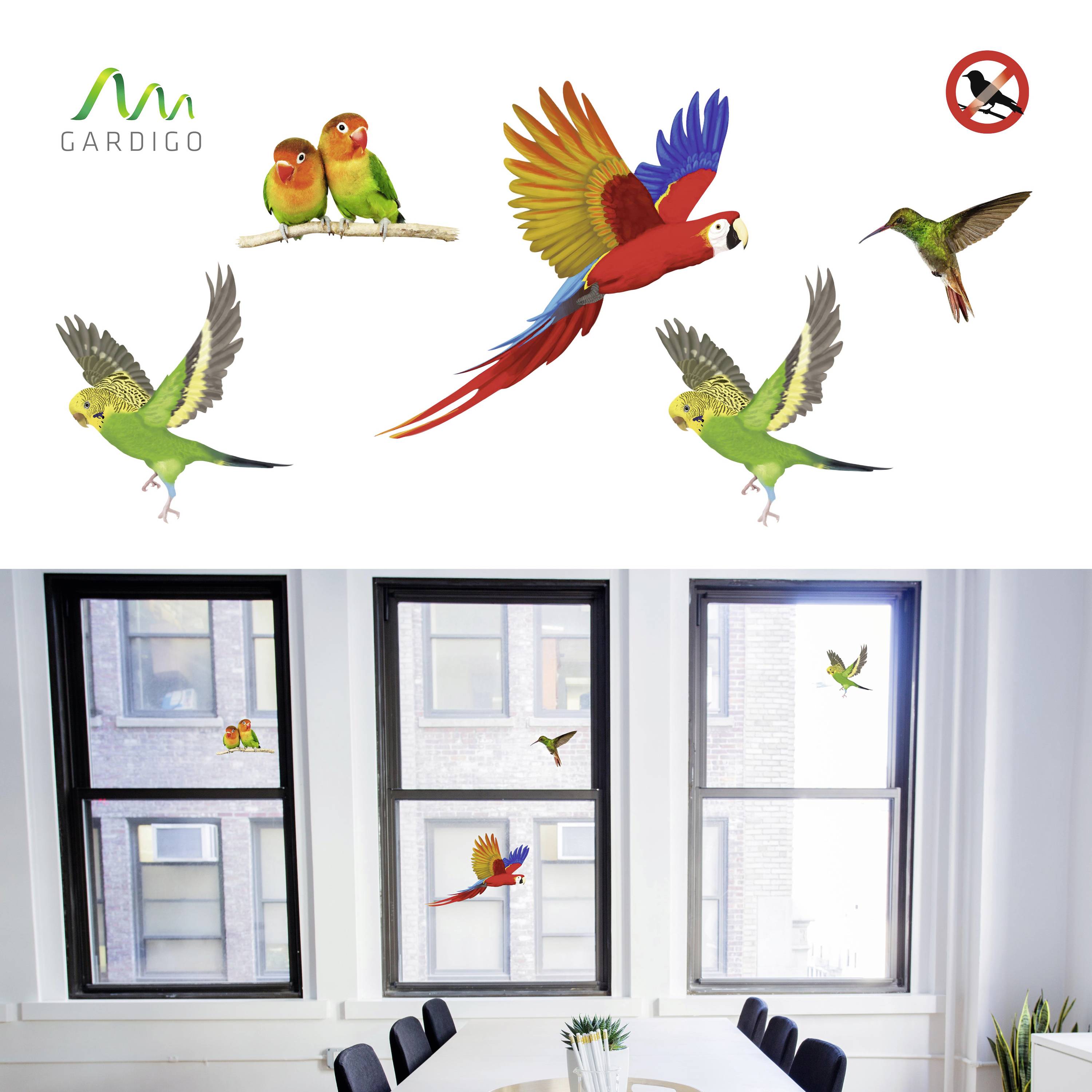 A room with three windows, fitted with bird protection stickers in various shapes, depicts parrots, hummingbirds and other birds.