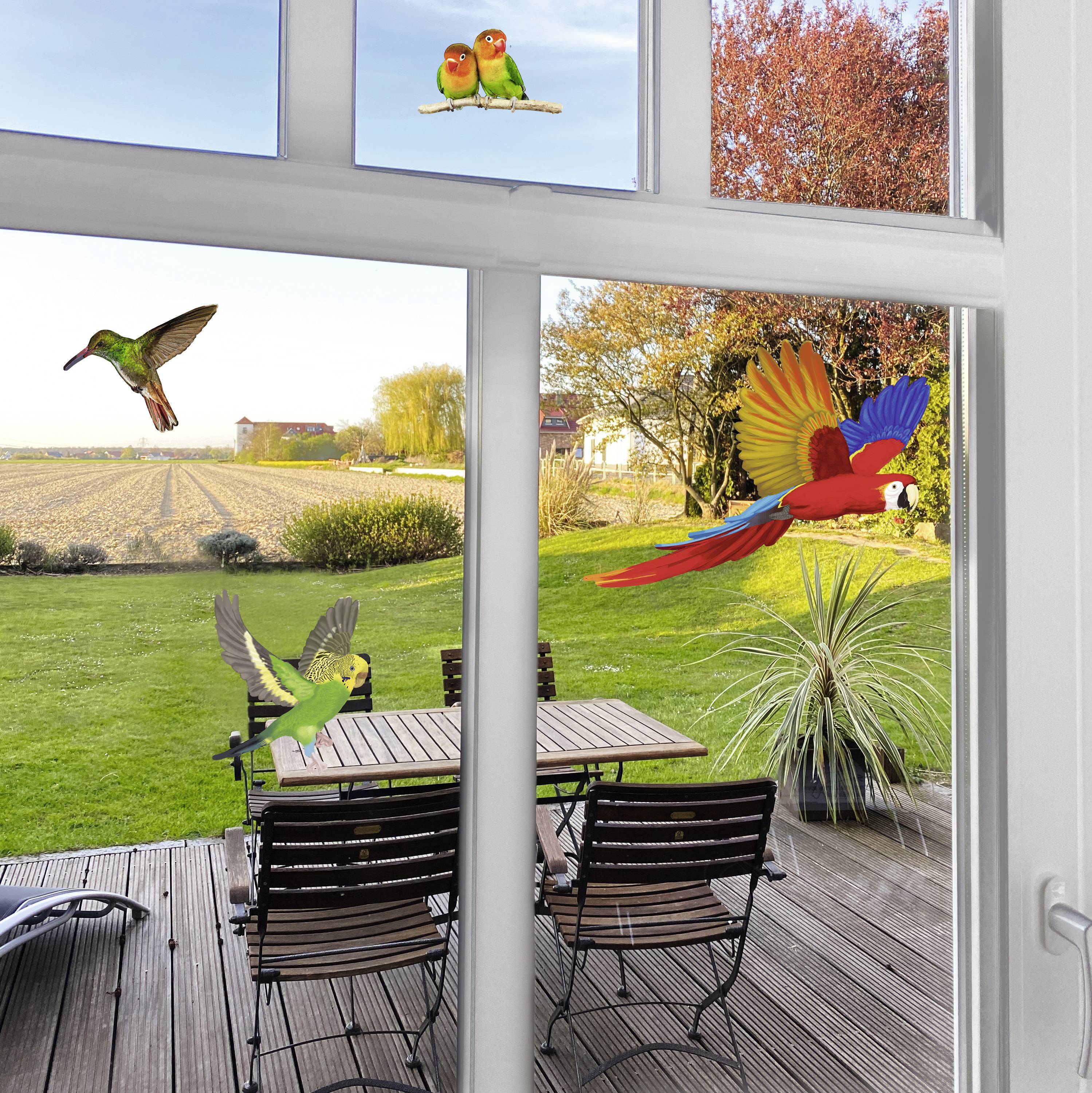 Birds of various species fly past a window. In the background, meadows, trees and a terrace with a table and chairs can be seen.