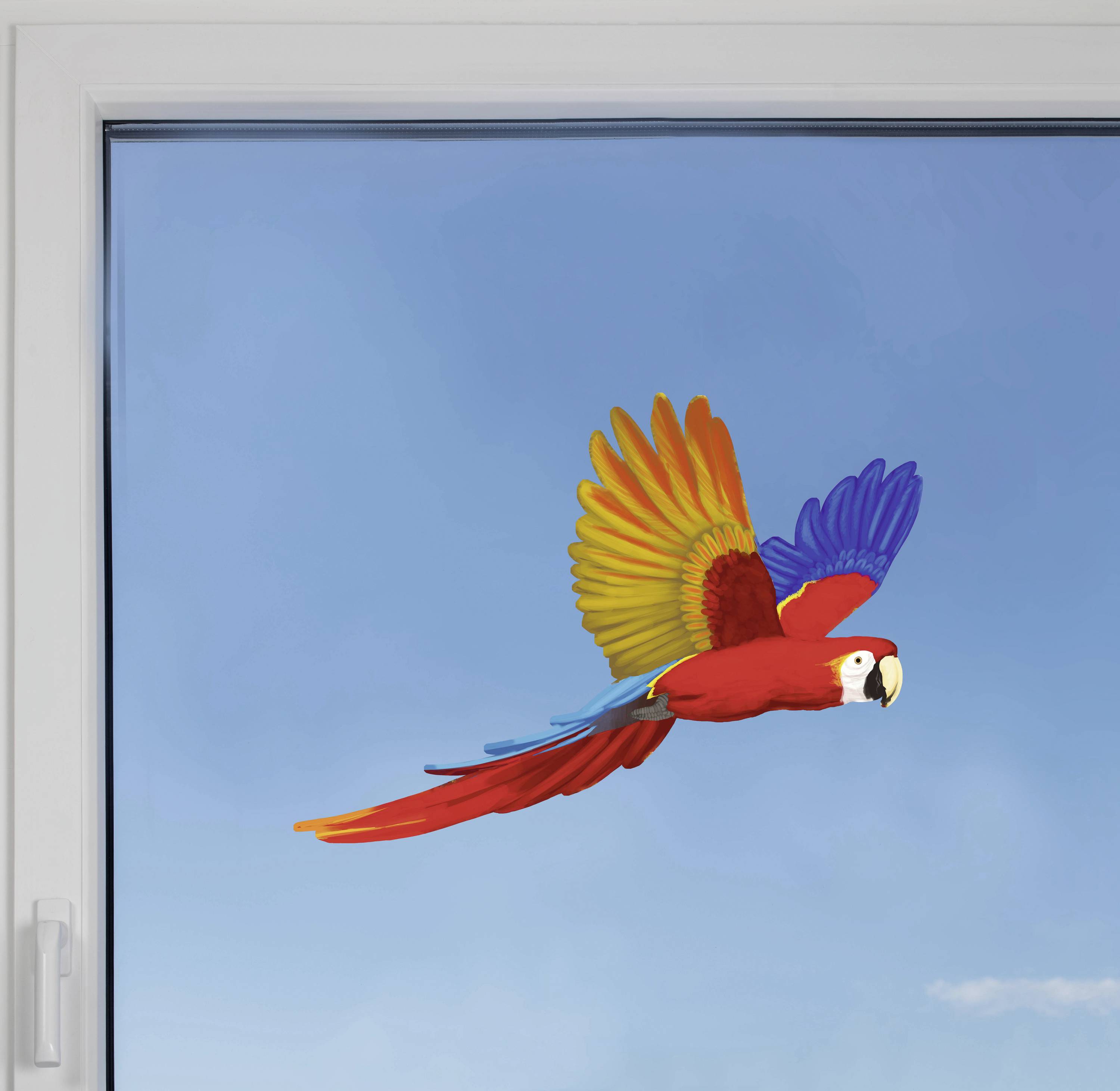 A colourful parrot flies in front of a clear blue sky, viewed through a window.