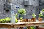 Spray giesser prima 60