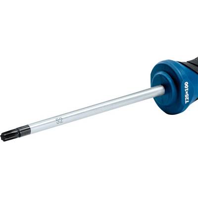 A Torx screwdriver with a blue handle. 'T25x100' is written on the handle and 'S2' is on the screwdriver shaft.