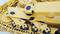 Close-up of a yellow construction crane with chains and gears. Clearly visible mechanical details showing its mode of operation.