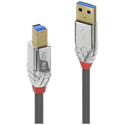 Two USB cable plugs: on the left a USB-B type, on the right a USB-A type, both in metallic finish with blue connectors.