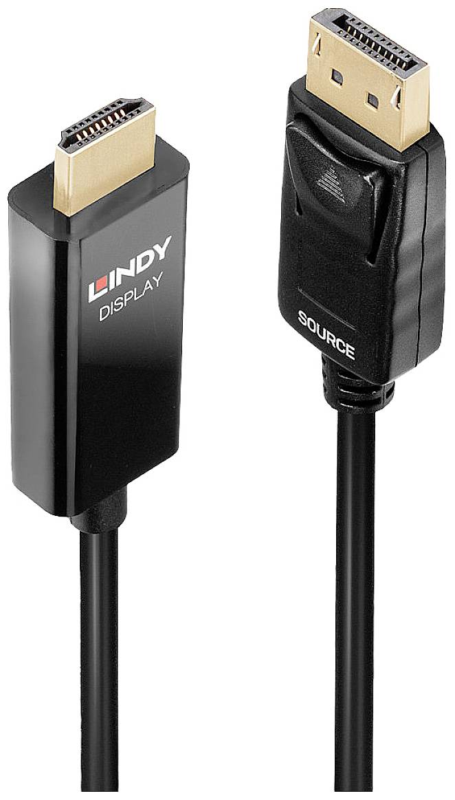 Two connectors, on the left an HDMI plug labelled 'LINDY DISPLAY', on the right a DisplayPort plug marked 'SOURCE'.