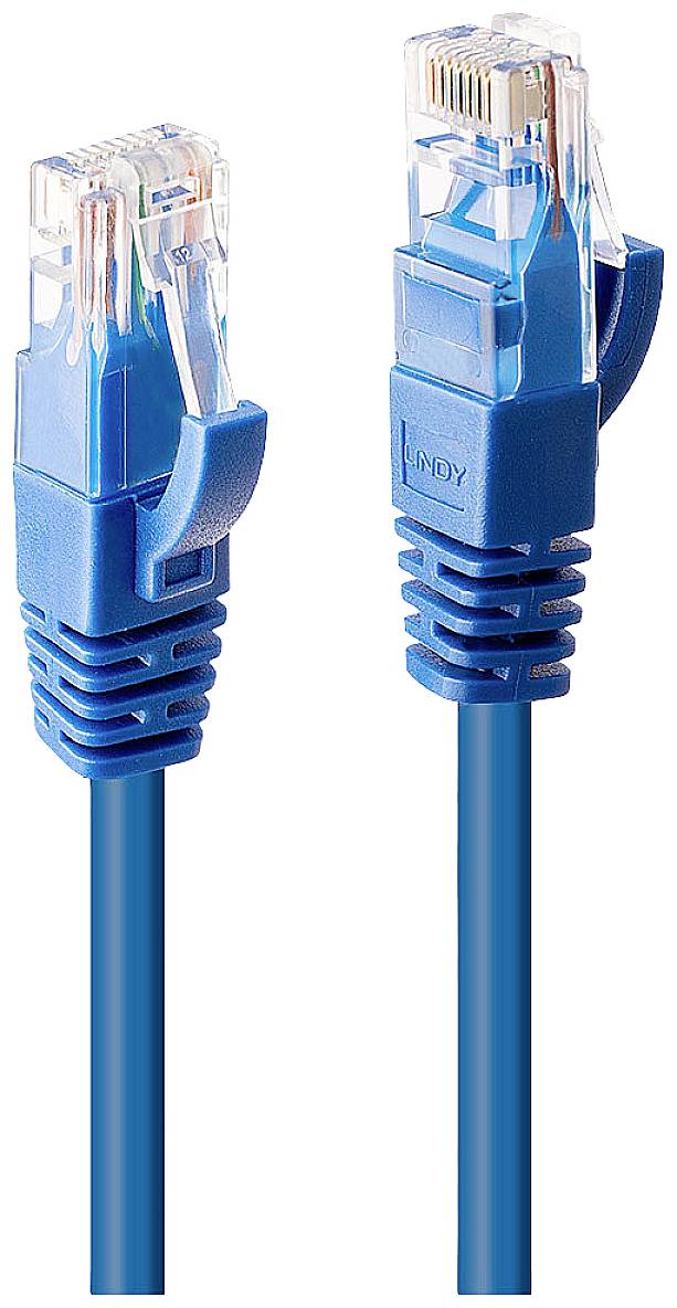 Two blue Ethernet cables with connectors, used for network connections. The connector on the right is slightly raised.