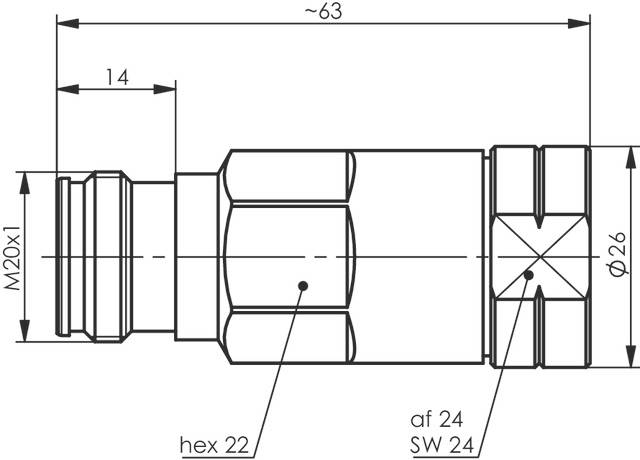 Technical Drawing of a Plug with Dimensions: Length ~63 mm, Width 26 mm. Labels: M20x1, Hex 22, af 24, SW 24.