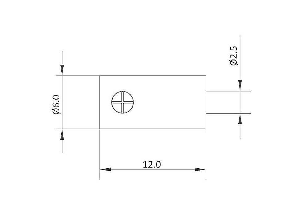 Technical drawing of a cylindrical pin with a length of 12 mm and a diameter of 6 mm. Hole diameter 2.5 mm.