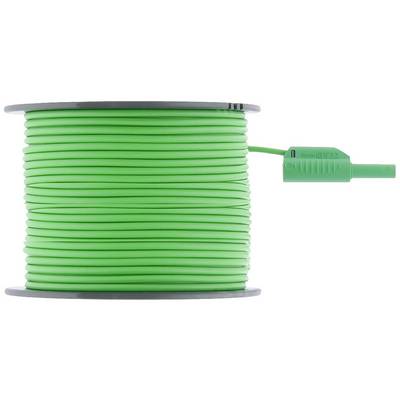 'Green cable reel on white background, connected to a male plug.'
