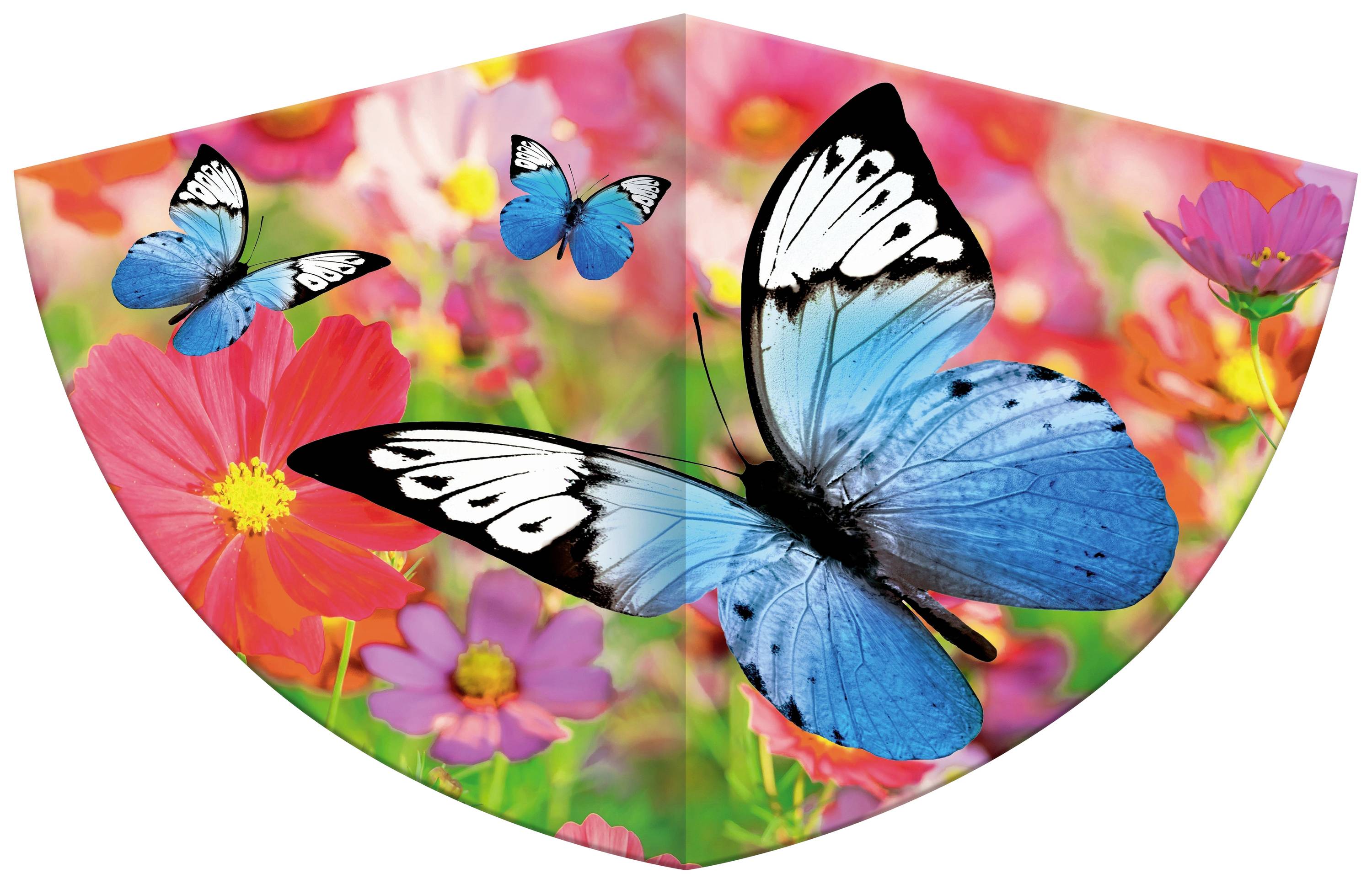 Image of Guenther Flugspiele Kite Butterfly Wingspan (details) 750 mm Wind speed range 4 - 9 bft