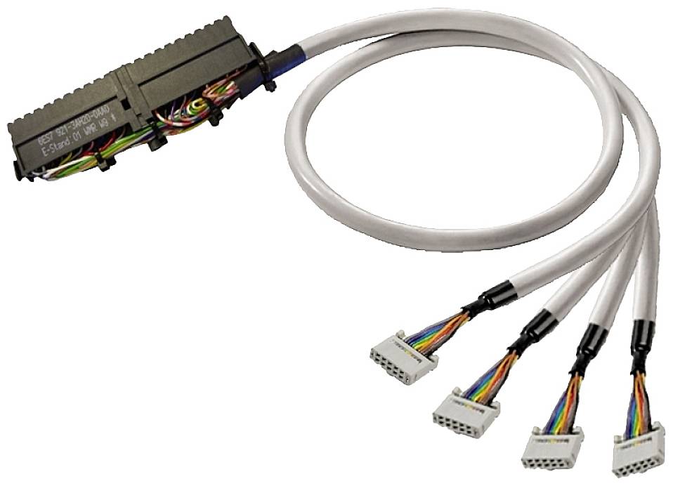 A wiring harness with a black plug, from which four multi-core cables branch out with white connectors, on a white background.
