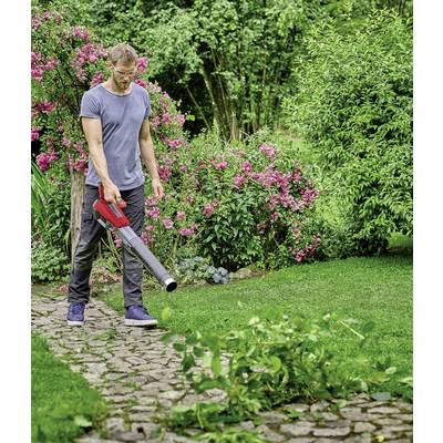 A man is using a leaf blower to clear leaves from a paved garden path. Shrubs are in bloom in the background.