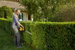 Cordless hedge trimmer HT 100e (including battery and charger)
