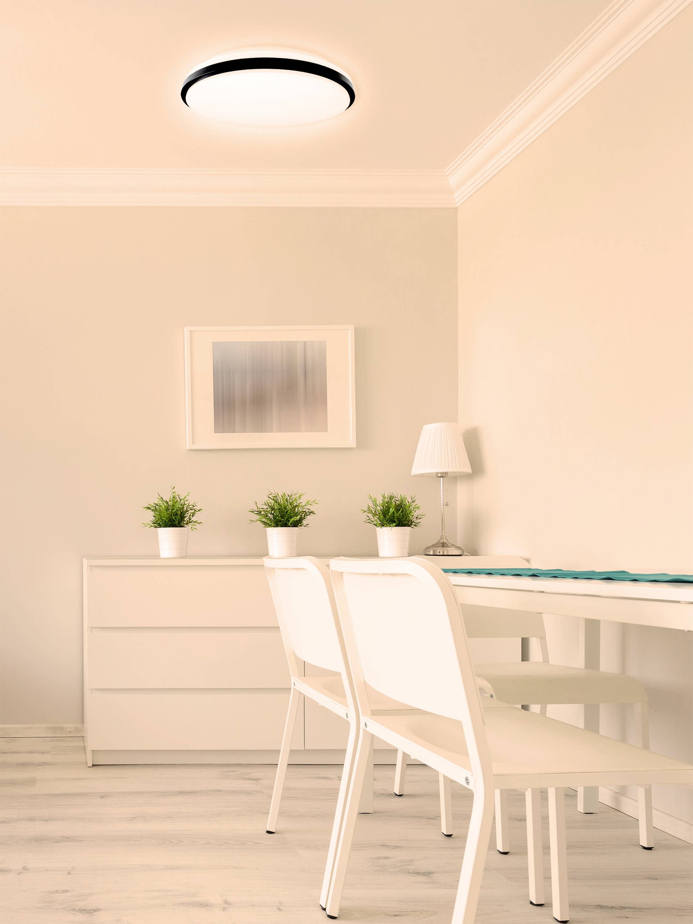 A bright, minimalist room with a white table, white chairs, a chest of drawers and small green plants, illuminated by a ceiling light.