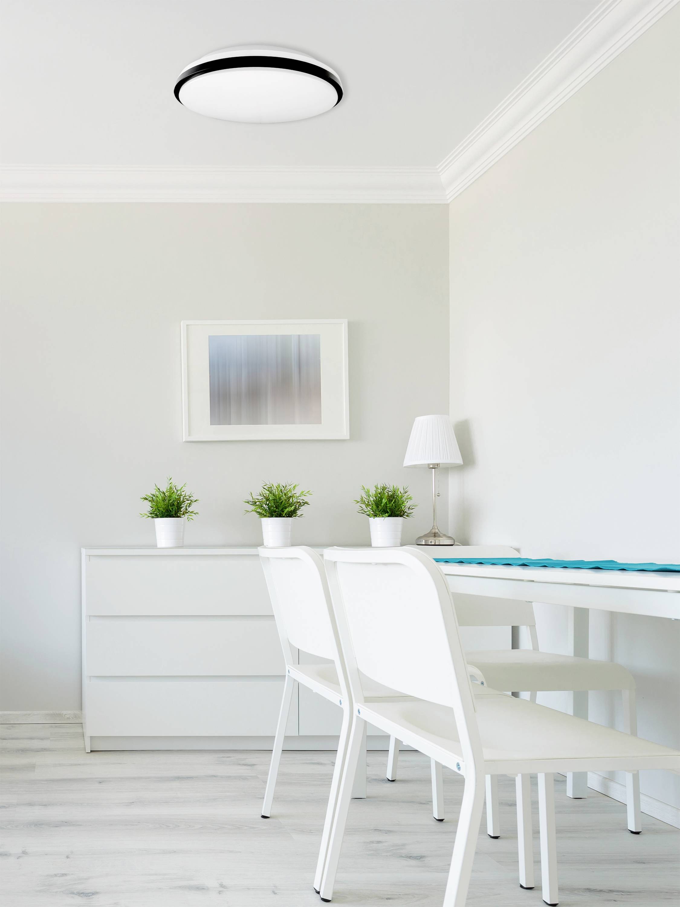 A bright, modern room with a white table and chairs, green plants on a white chest of drawers, and a framed artwork on the wall.