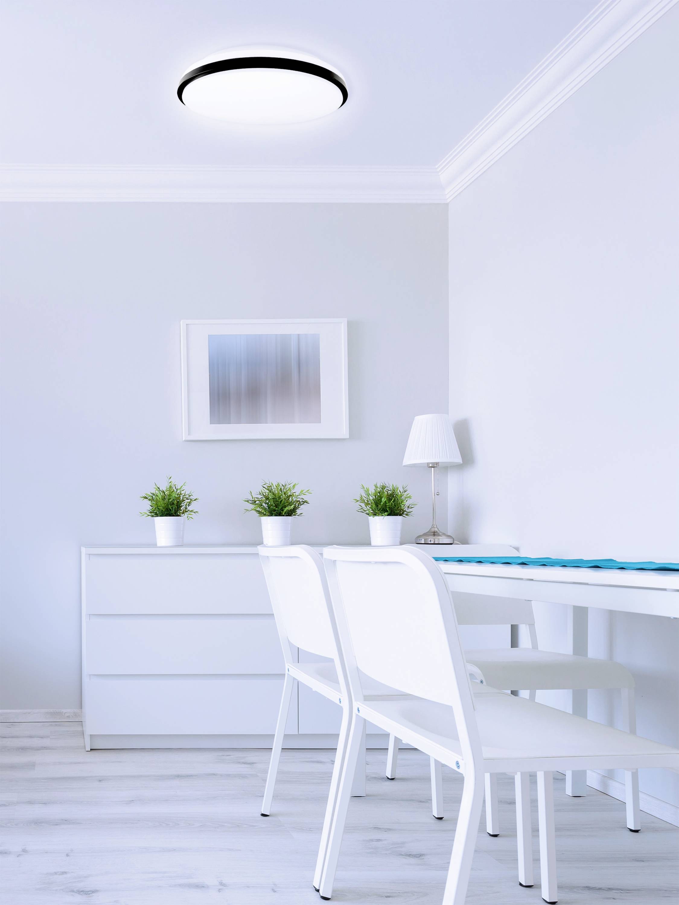 Bright, minimally furnished room with a table, white chairs, a chest of drawers, and plants on the table. Simple wall artwork in the background.